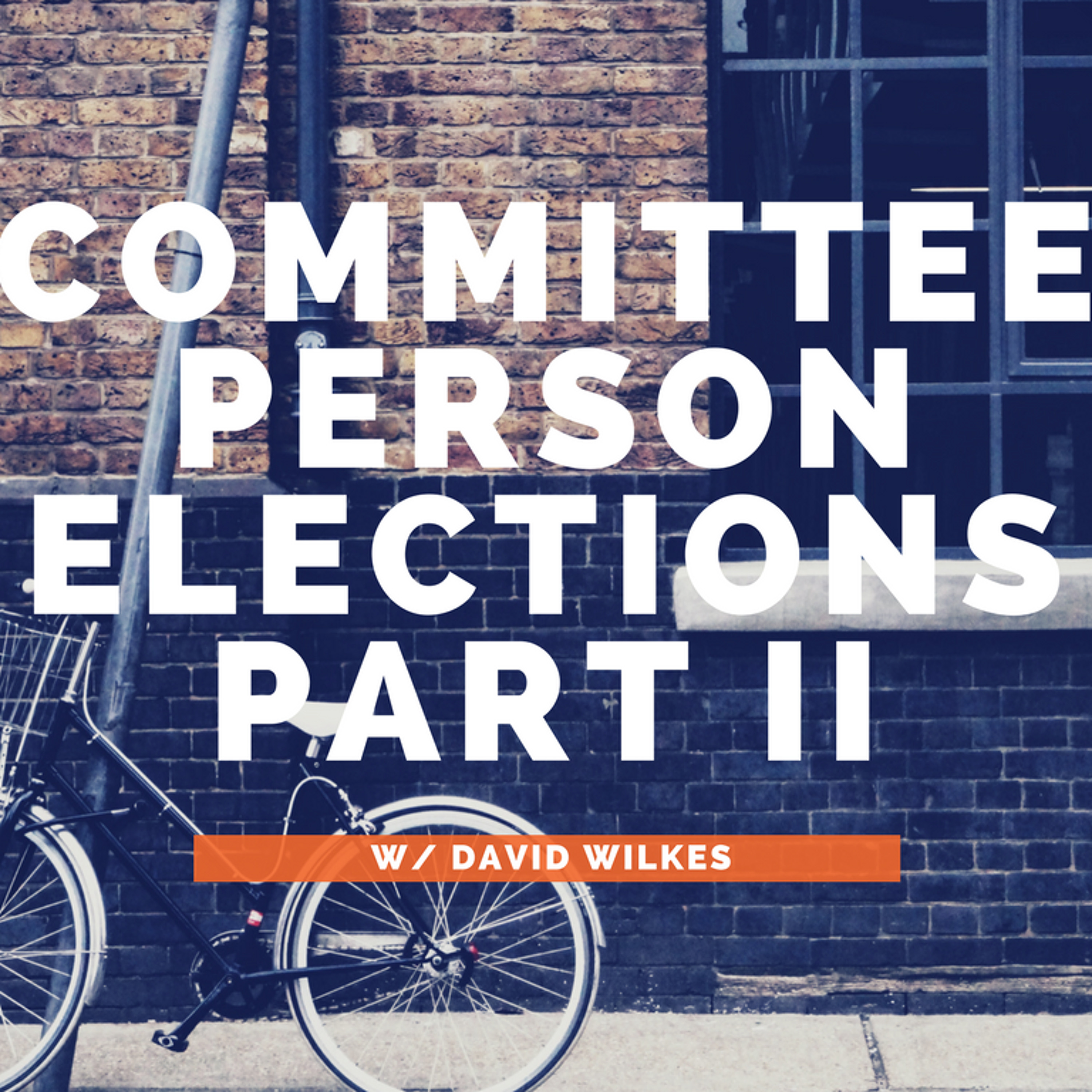 Committeeperson Elections w/David Wilkes