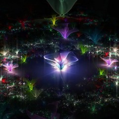 Reverse Synfonic Birds - 170