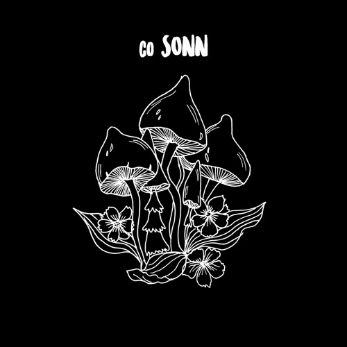 CO SONN - why