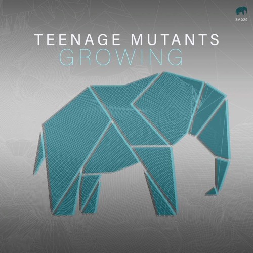 Teenage Mutants &  Heerhorst - Python (Original Mix) [Set About]