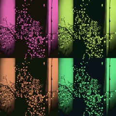 lights