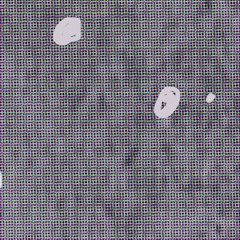 Ausflug nach Legoland