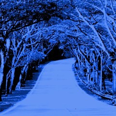 Secret Journey