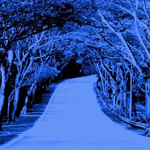 Secret Journey