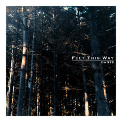 Felt This Way (Feat. Beth)