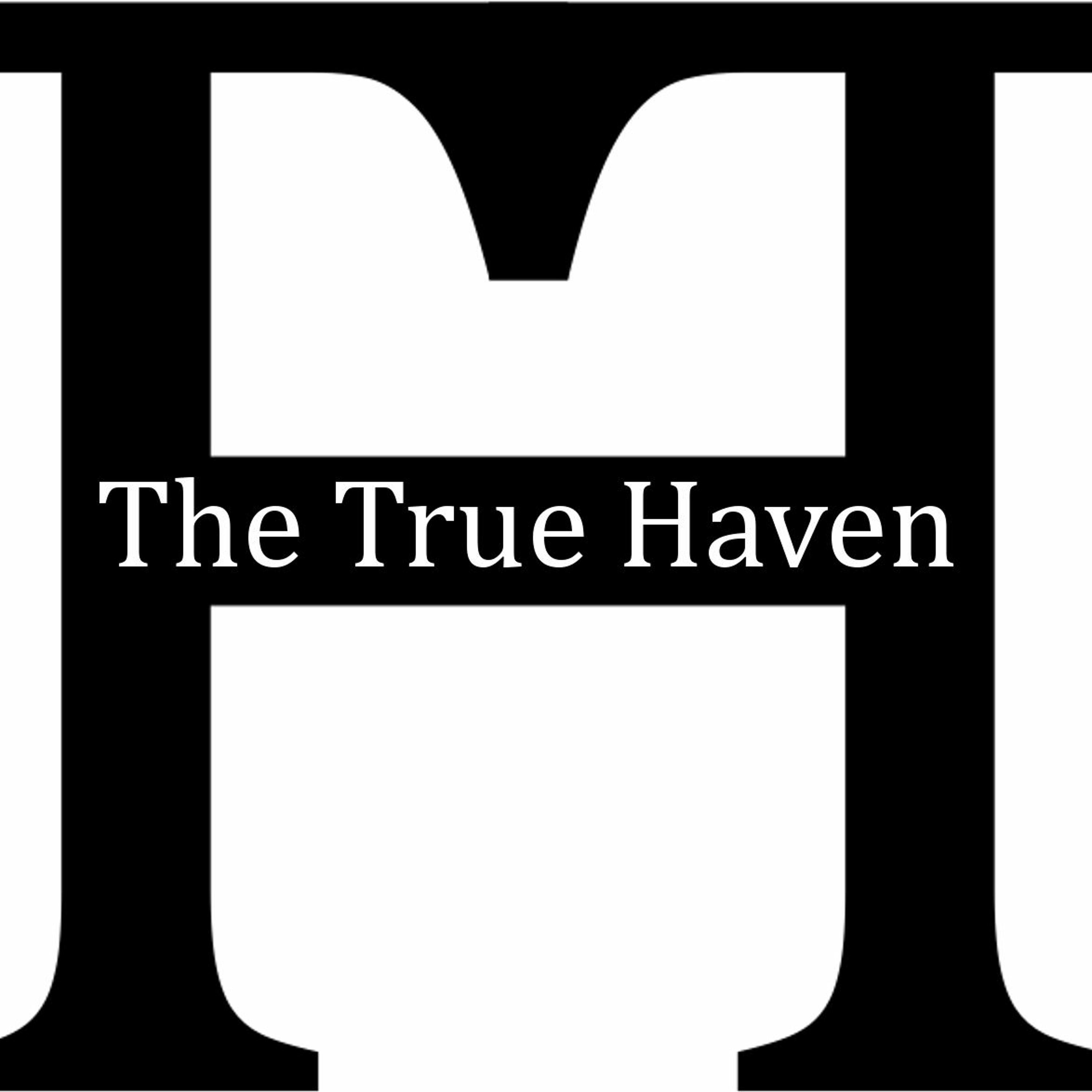 The True Haven episode artwork