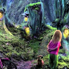Ntr - Logical Forest (Préview)