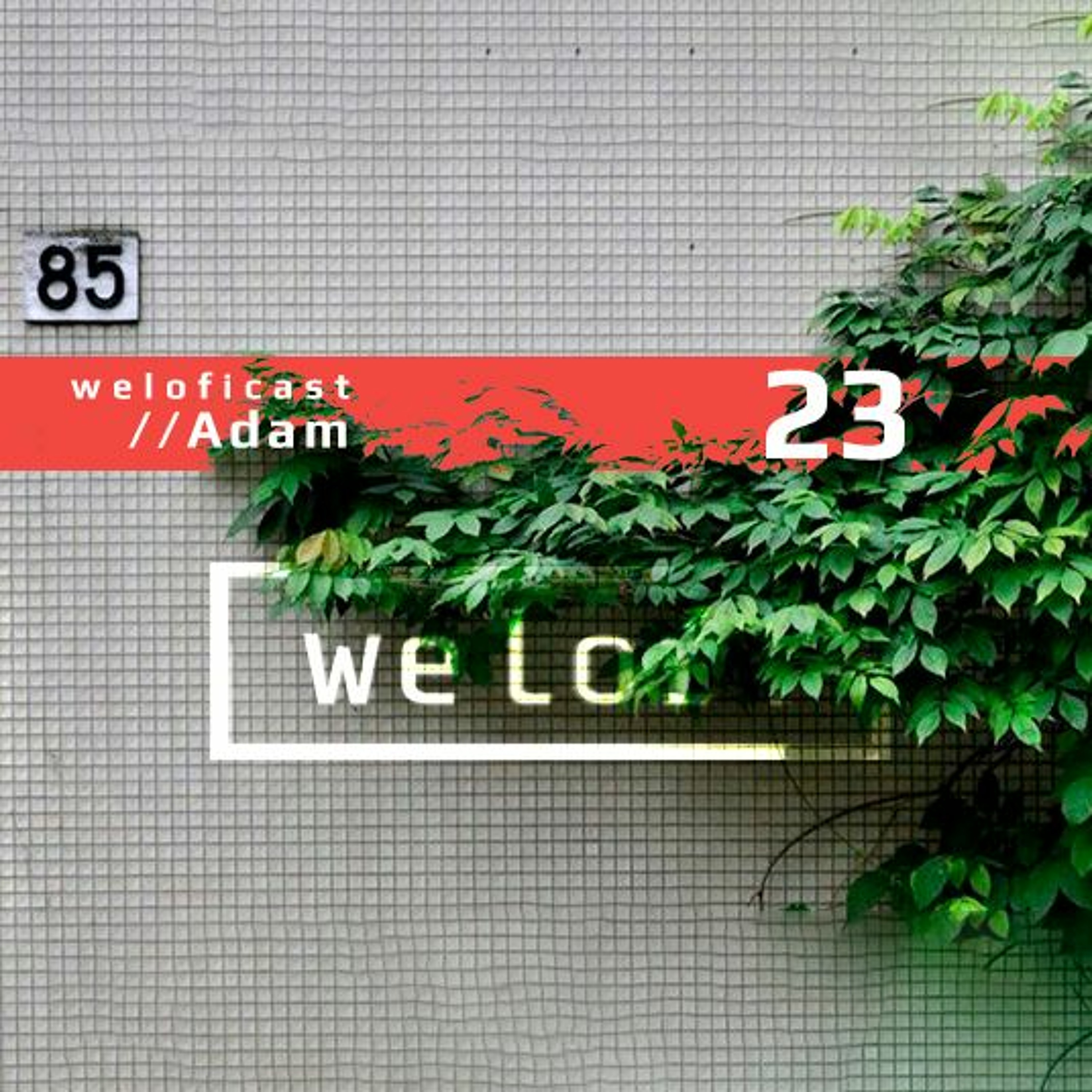 Welofi