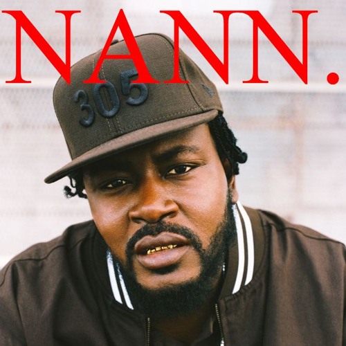 NANN (ss edit)