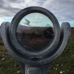 Bonaparte’s retreat