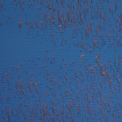 로꼬&화사 - 주지마 COVER