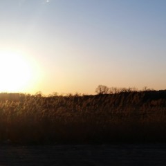 Don't drink the cave water