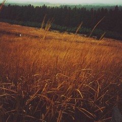 死去的稻草和孩子们