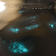 Beat of quiet - mix - Arthemi