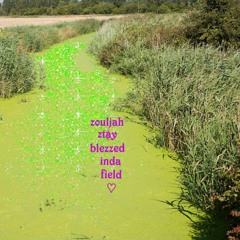 zouljahztayblezzedindafield♡