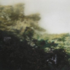 Paisaje (2018)