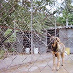 i hope you’re doing okay