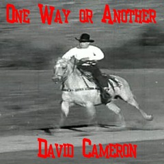 One Way Or Another