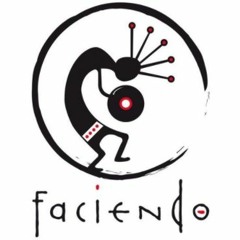 Repost: Faciendo - Erik Sebastiaan (February 2014)