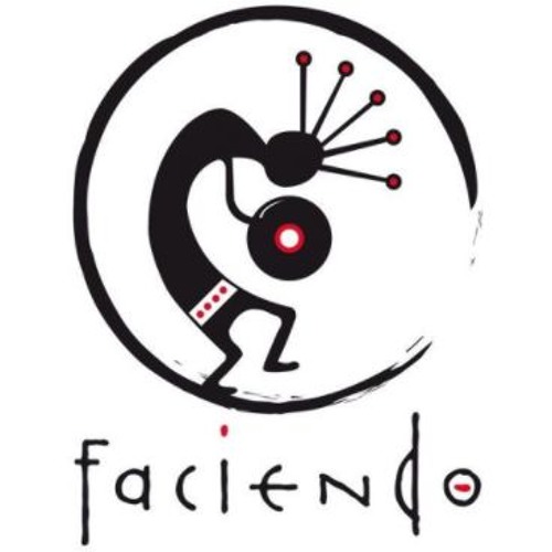 Repost: Faciendo - Erik Sebastiaan (February 2014)