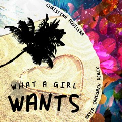 Christina Aguilera - What A Girl Wants (Arrived Remix)
