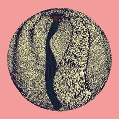 La Fleur - Outbreaker EP (clips)