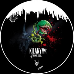 Kilany M - Dynamic Soul (Snippet)
