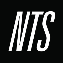 NTS GUEST MIX 4 HECTOR PLIMMER ("Is this thing on?")