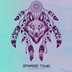 Premiere | Bryan Wolf Ear & Philip James De Vries - Dreamcatcher (Deeparture Remix)
