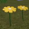 The Yellow Rose Of Texas Mp3