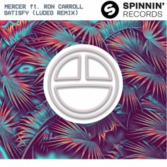 Satisfy ft. Ron Carroll (Ludeg Remix)