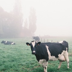 this is a weird time