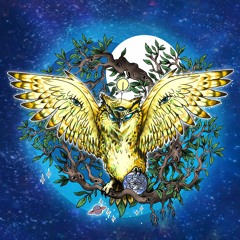 Inner Space