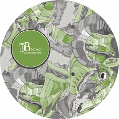 NTFO - Avoid *VINYL ONLY*
