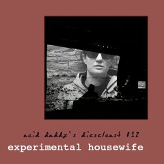 012 - Experimental Housewife (Santa Fe, NM)