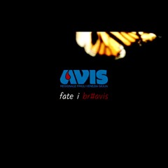 Fate i br#avis || Original Soundtrack by The Dodgy Question