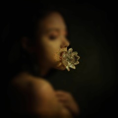 Lotus Flower (Radiohead Cover)