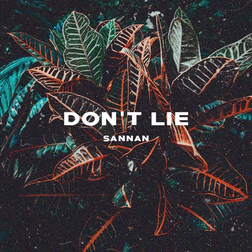 @sannan.z - Don't Lie