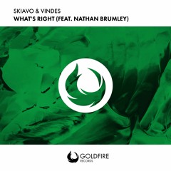 Skiavo & Vindes feat. Nathan Brumley - What's Right (Debris Remix)