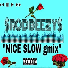 NICE SLOW gmix