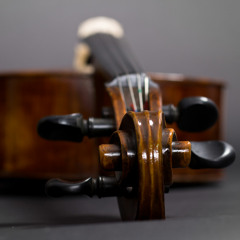 String Quintet Exercise