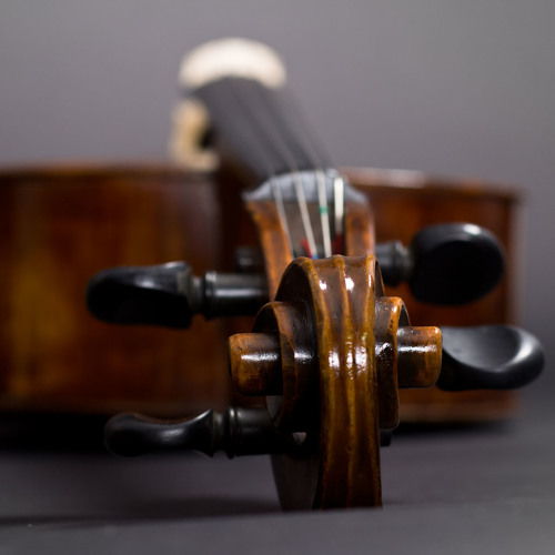 String Quintet Exercise