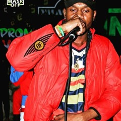 Freestyle "se kolonel