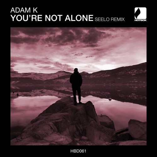 Adam K - You're Not Alone (Seelo remix)