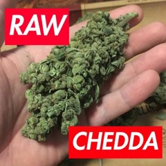 RAW CHEDDA V.1