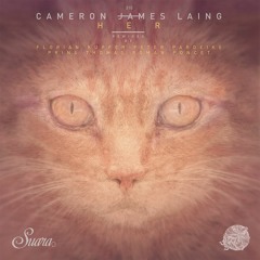 [SUARA310] Cameron James Laing - (Peter Pardeike Remix) Snippet