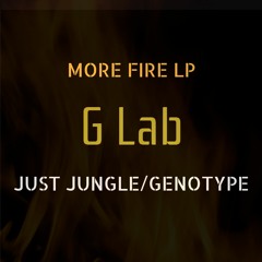 Just Jungle - Stash - G Lab Recordings
