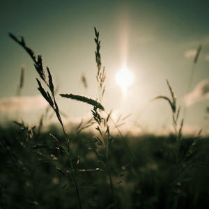 Life - Emotional Soundtrack
