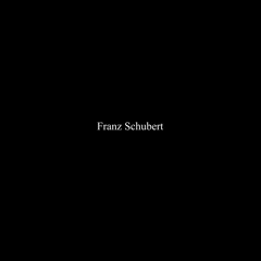 Franz Schubert - Piano Trio N° 2, II