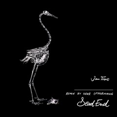 I am Frost | Dead End (Herr Oppermann Remix)